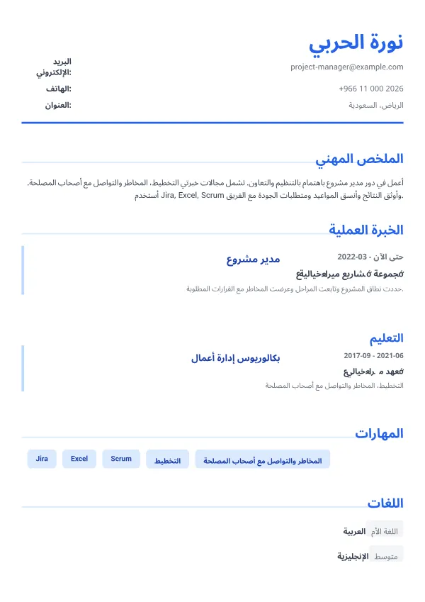 مدير مشروع CV – أزرق تنفيذي