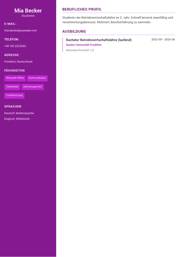 Praktikant CV – Kreativer Akzent