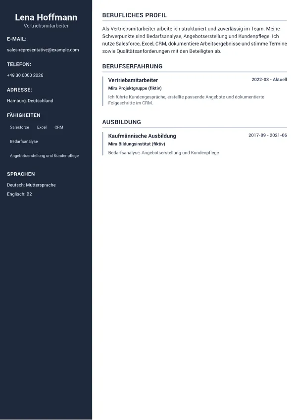 Vertriebsmitarbeiter CV – Professionelle Seitenleiste
