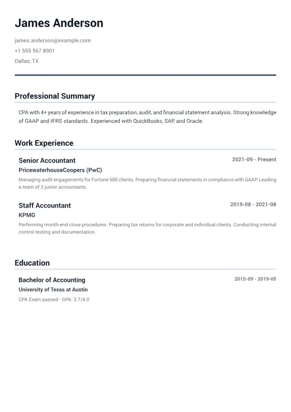 Accountant CV – Minimal Gray