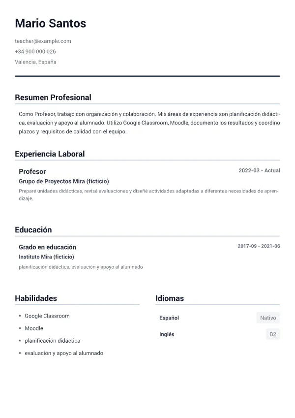 Profesor CV – Gris Minimal
