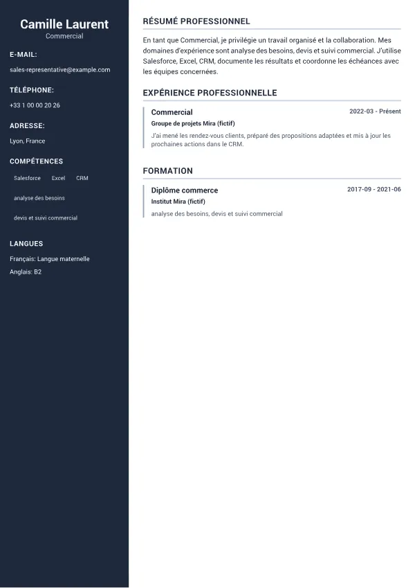 Commercial CV – Sidebar Professionnel