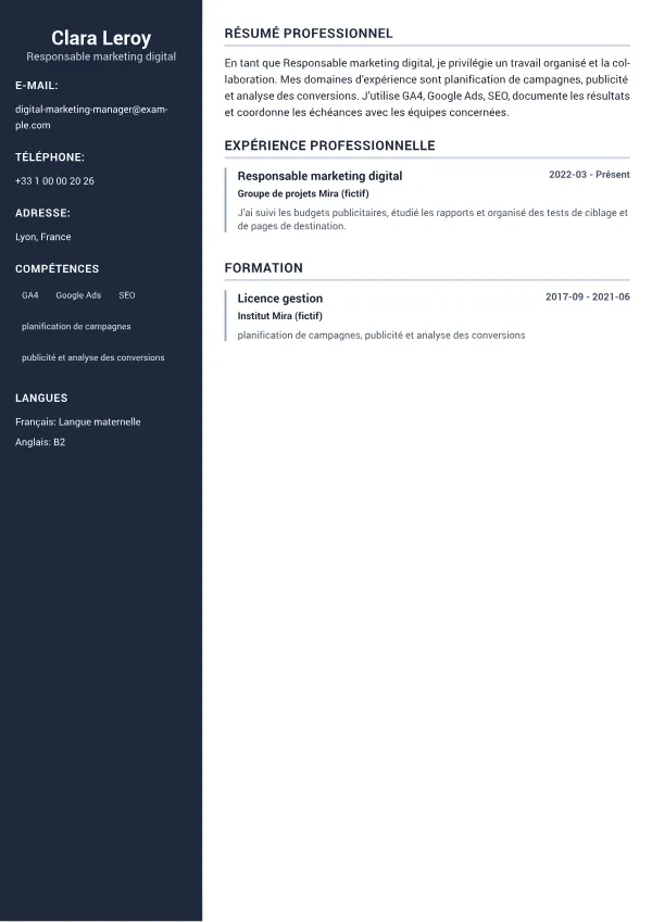 Responsable marketing digital CV – Sidebar Professionnel