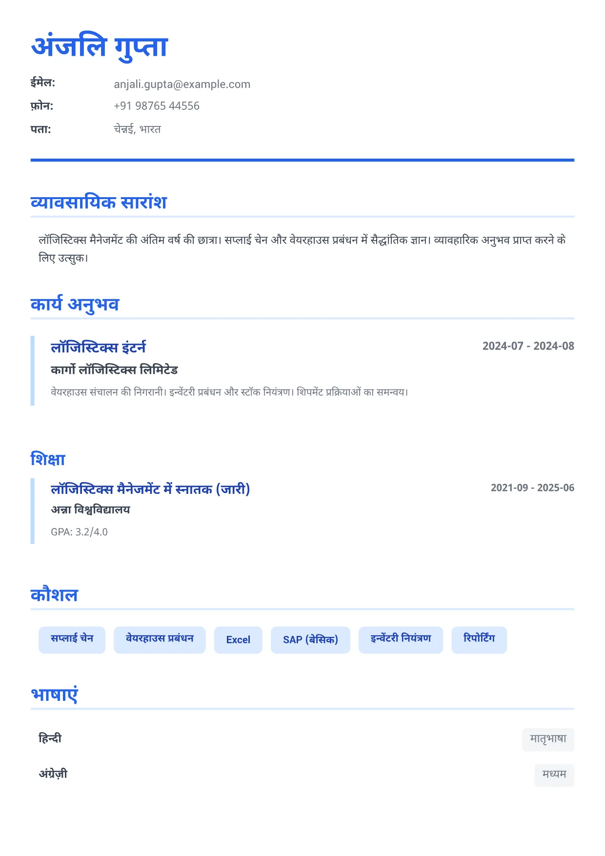 लॉजिस्टिक्स इंटर्न CV उदाहरण – एग्जीक्यूटिव ब्लू (1/1)