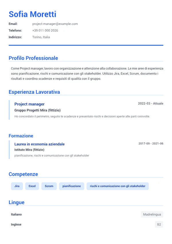 Project manager CV – Blu Executive