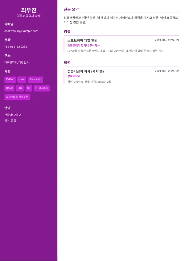 엔지니어 인턴 CV – 크리에이티브 액센트