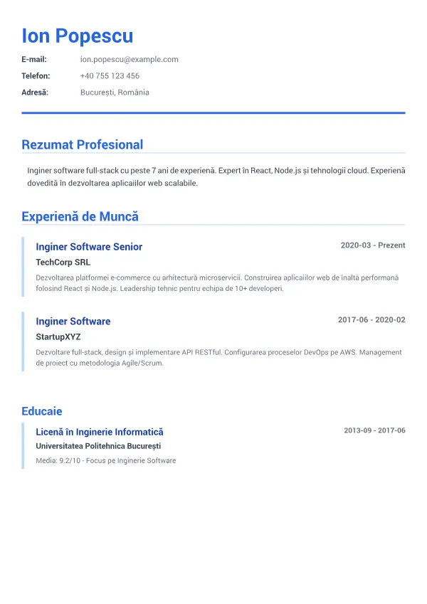 Inginer Software CV – Albastru Executiv