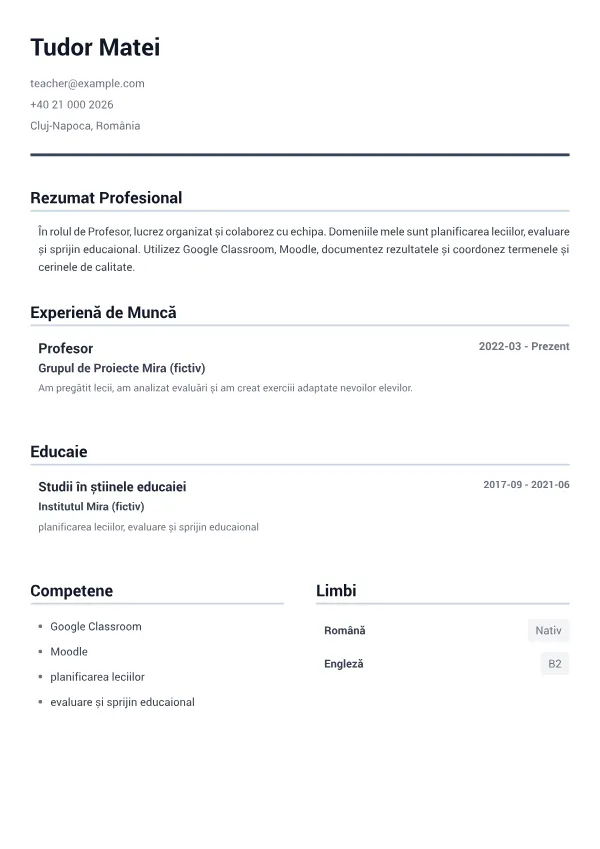 Profesor CV – Gri Minimal