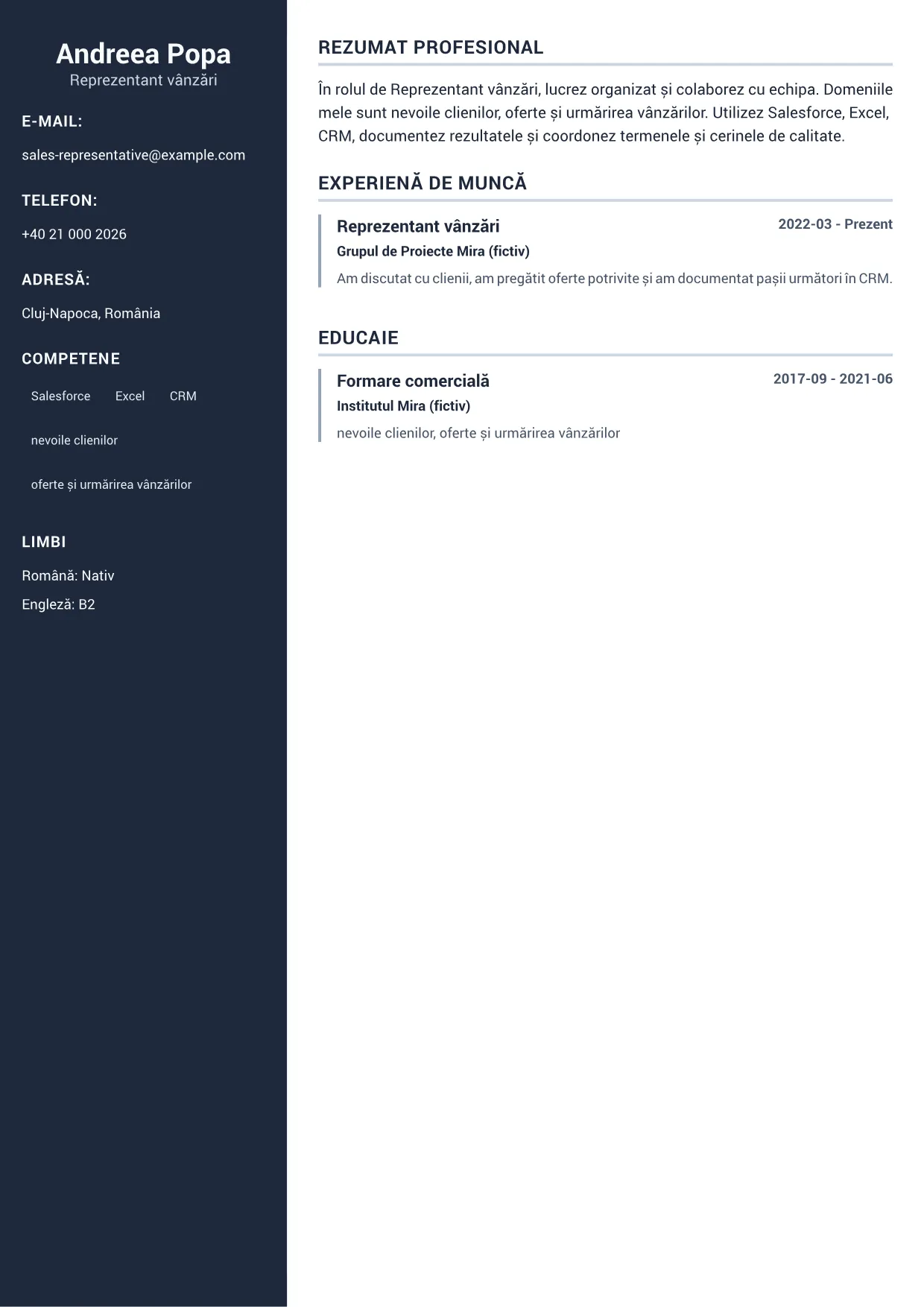 Exemplu de CV Reprezentant vânzări – Sidebar Profesional (1/1)