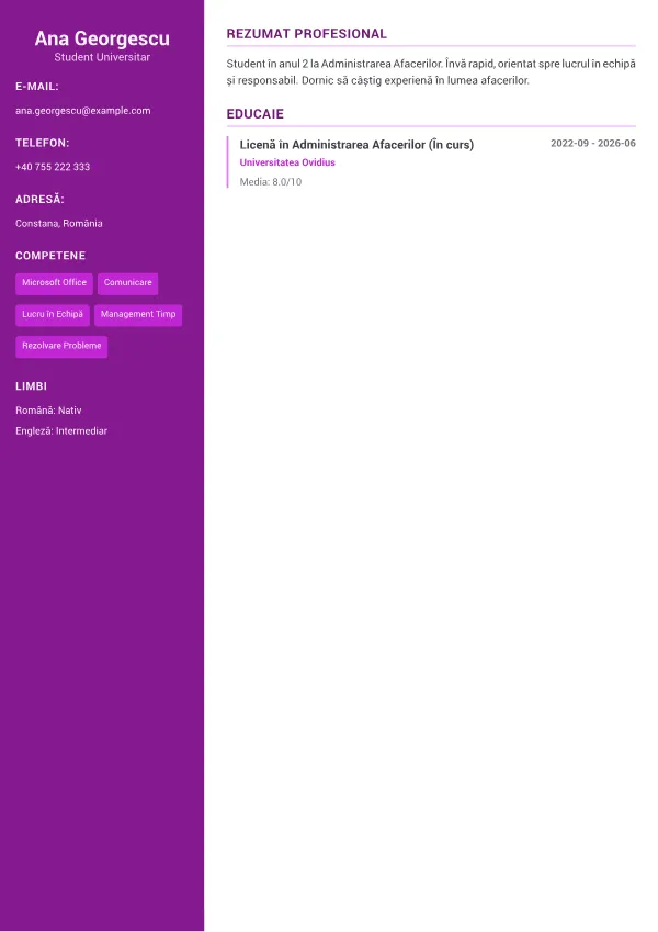 Stagiar CV – Accent Creativ