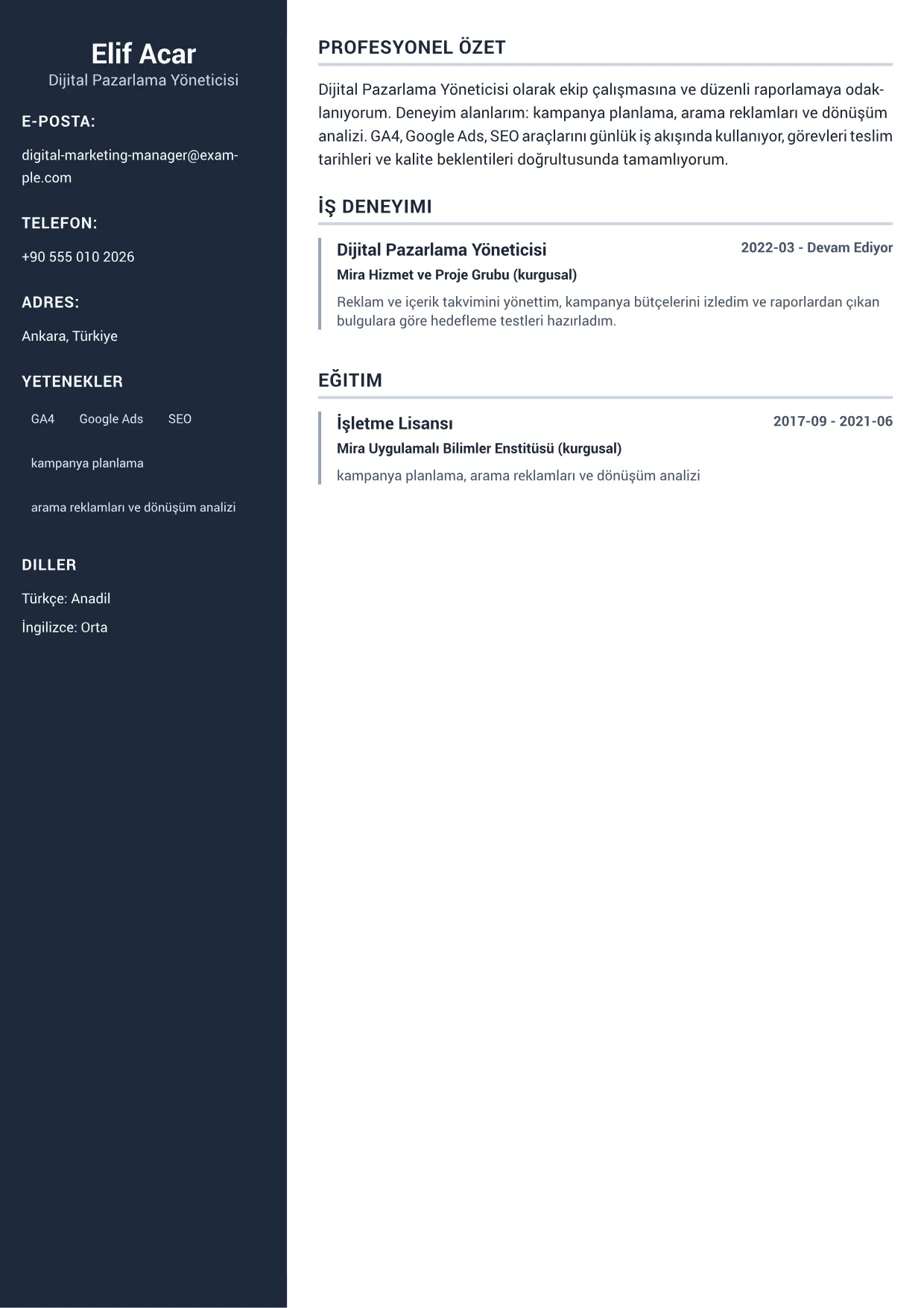 Dijital Pazarlama Yöneticisi CV Örneği – Profesyonel Sidebar (1/1)