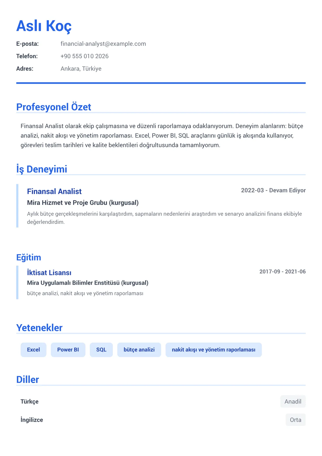 Finansal Analist CV Örneği – Kurumsal Mavi (1/1)