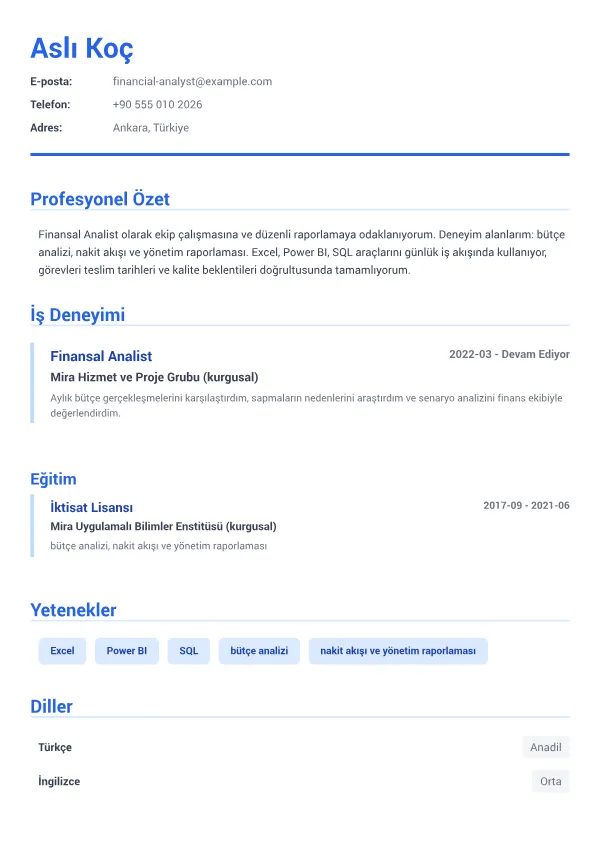 Finansal Analist CV – Kurumsal Mavi
