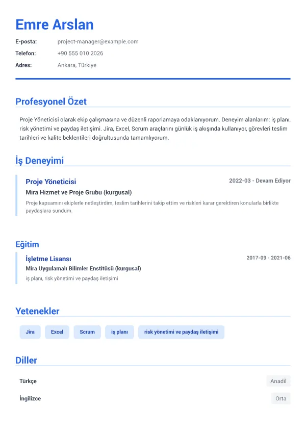 Proje Yöneticisi CV – Kurumsal Mavi