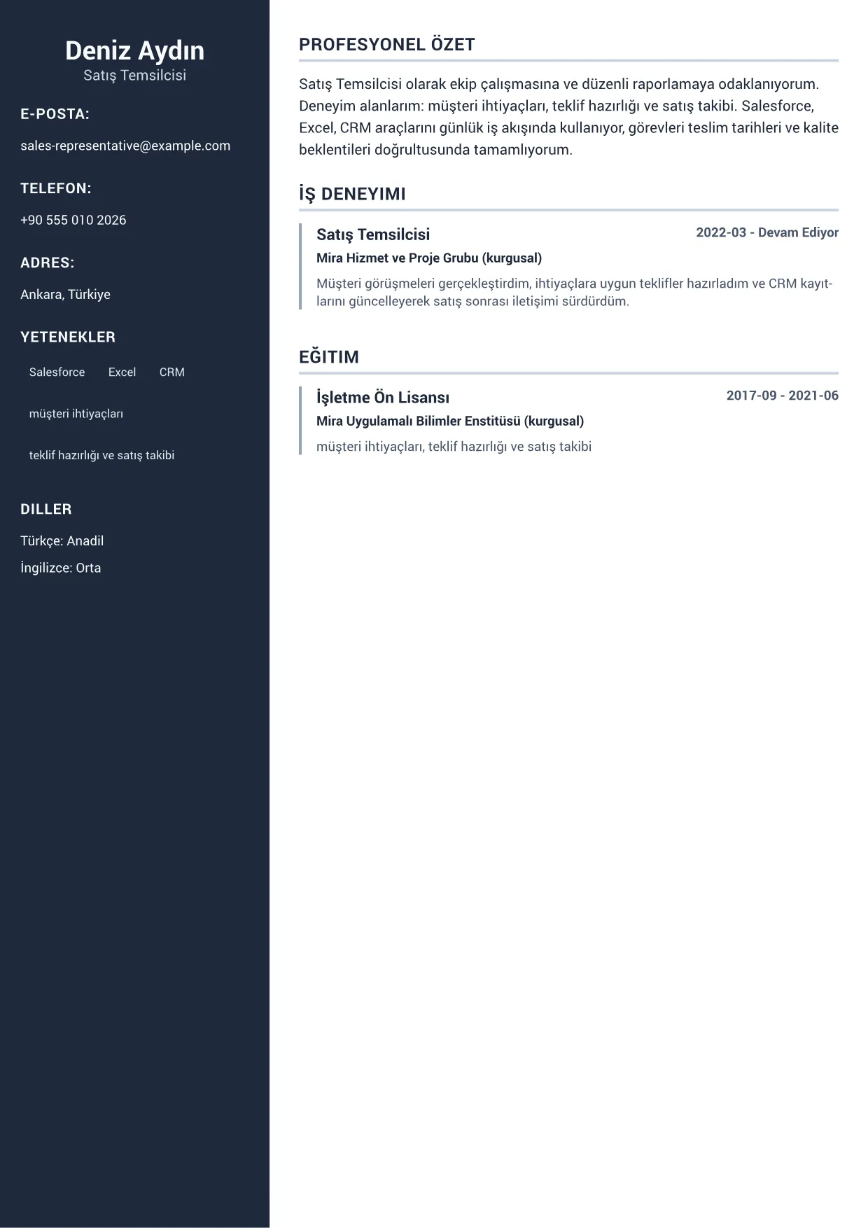 Satış Temsilcisi CV Örneği – Profesyonel Sidebar (1/1)