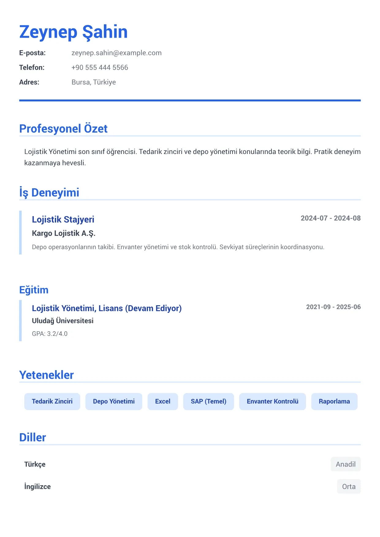 Stajyer Lojistikçi CV Örneği – Kurumsal Mavi (1/1)