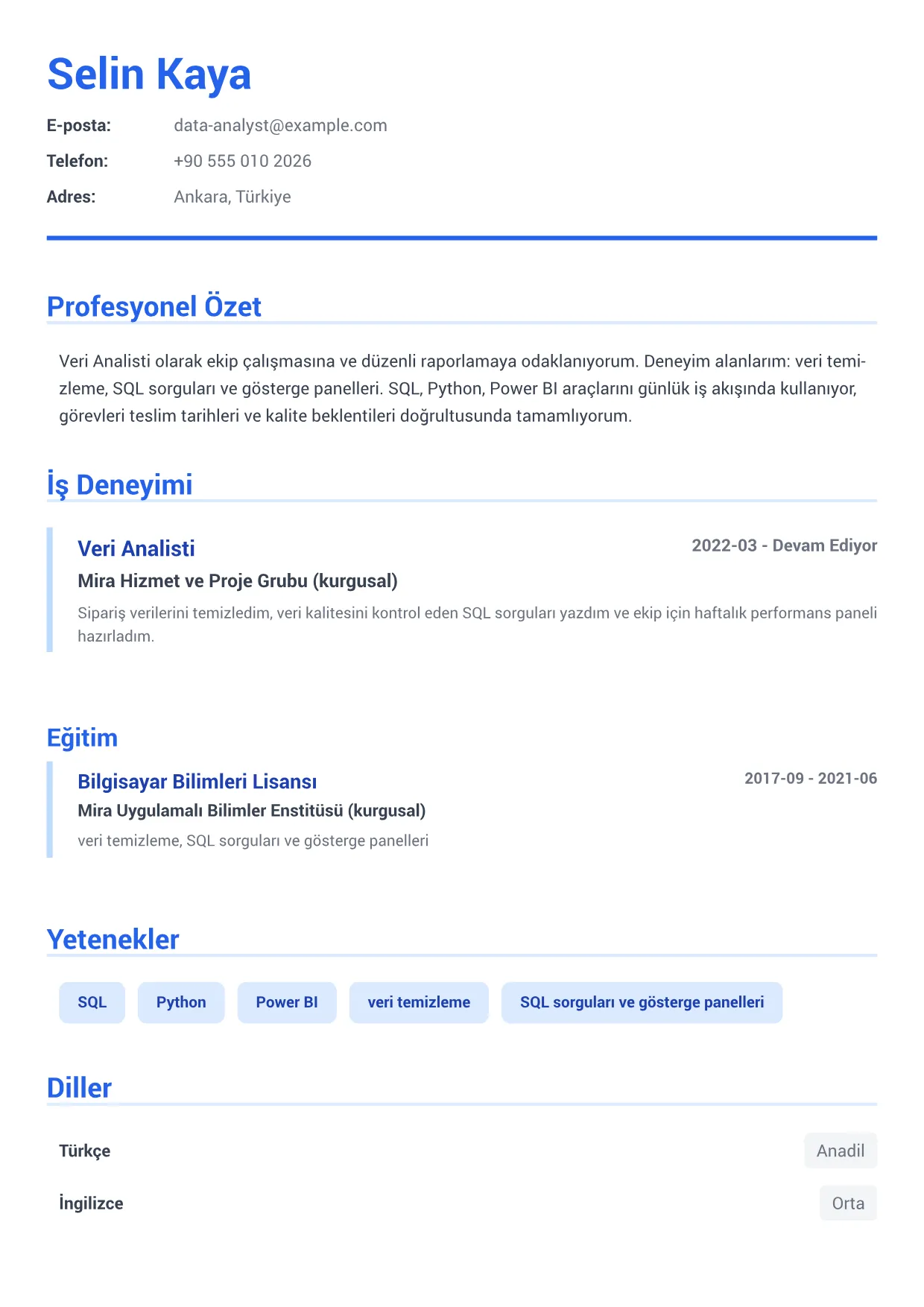 Veri Analisti CV Örneği – Kurumsal Mavi (1/1)