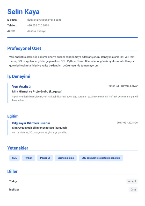 Veri Analisti CV – Kurumsal Mavi