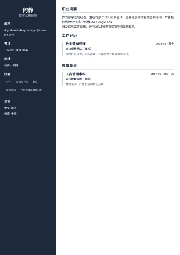 数字营销经理 CV – 专业侧栏
